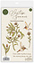 Vintage Summer A6 Clear Photopolymer Stamps Hummingbird by Olena Kovalova (CCSTMP103) Vintage Summer A6 Clear Photopolymer Stamps Hummingbird by Olena Kovalova (CCSTMP103)