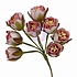 Buttons & Keepsakes Flowers Tattered Millinery (8pcs) by Frank Garcia (684747)