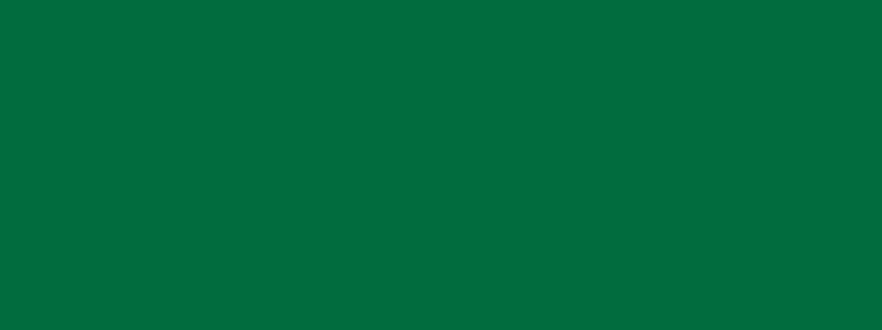Kreul KREUL Triton Acrylic Liquid Foliage Green 750 ml (17014) Kreul KREUL Triton Acrylic Liquid Foliage Green 750 ml (17014)