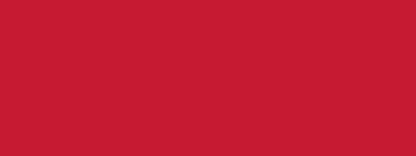 Kreul KREUL Triton Acrylic Liquid Cherry Red 750 ml (17027) Kreul KREUL Triton Acrylic Liquid Cherry Red 750 ml (17027)