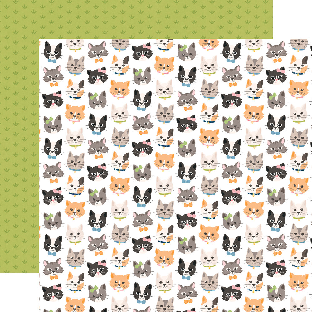Echo Park Cat Lover 12x12 Inch Collection Kit (CL506016) Echo Park Cat Lover 12x12 Inch Collection Kit (CL506016)