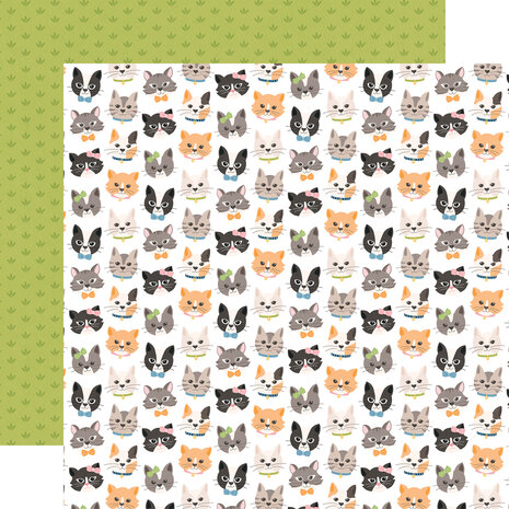 Echo Park Cat Lover 12x12 Inch Collection Kit (CL506016) Echo Park Cat Lover 12x12 Inch Collection Kit (CL506016)