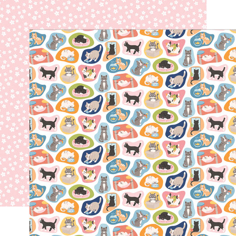 Echo Park Cat Lover 12x12 Inch Collection Kit (CL506016) Echo Park Cat Lover 12x12 Inch Collection Kit (CL506016)