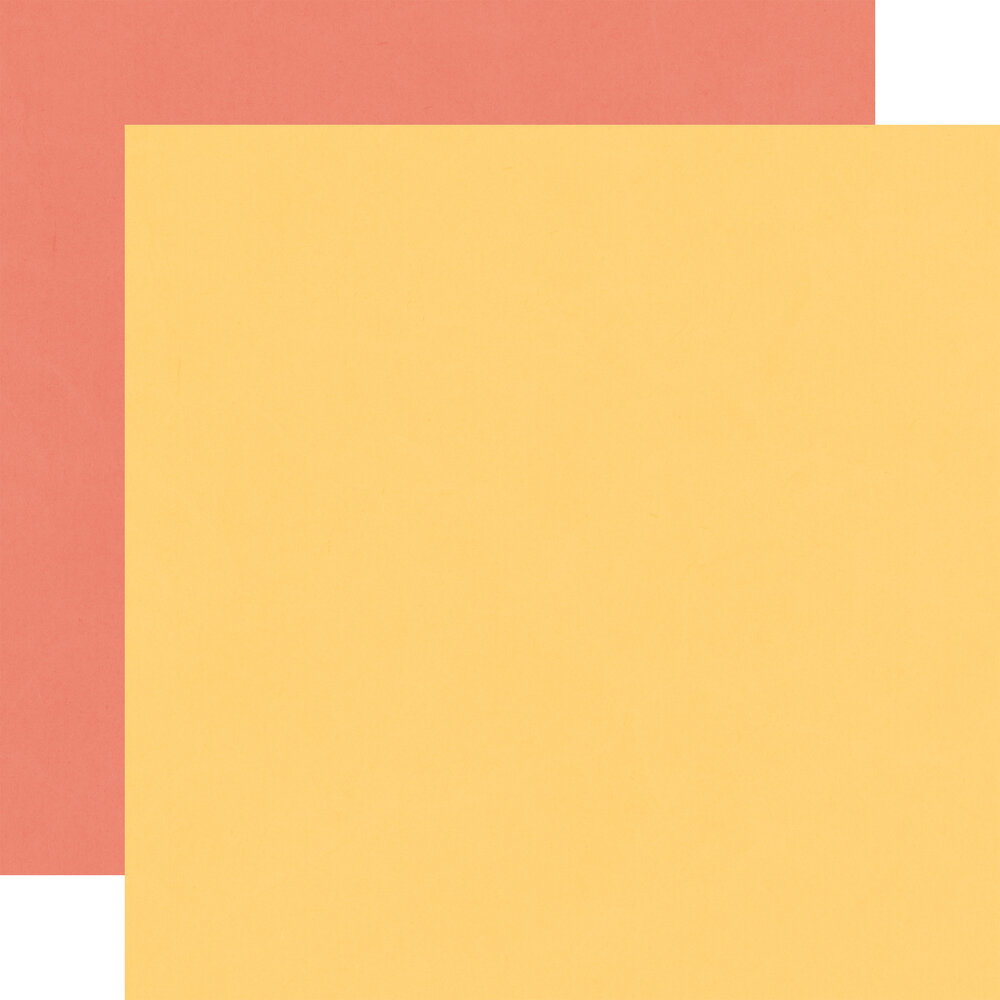 Echo Park Cat Lover 12x12 Inch Coordination Solids Paper Pack (CL506015) Echo Park Cat Lover 12x12 Inch Coordination Solids Paper Pack (CL506015)