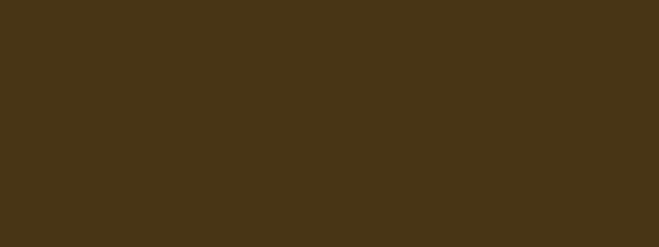 Kreul KREUL Triton Acrylic Liquid Havanna Brown 750 ml (17016) Kreul KREUL Triton Acrylic Liquid Havanna Brown 750 ml (17016)