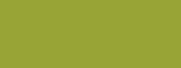 Kreul KREUL Triton Acrylic Liquid Olive Green light 750 ml (17045)