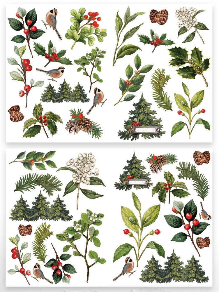 Arden Creative Studio Christmas Cheer Laser Cuts Foliage (42pcs) by Katie Pertiet (ACSLC0010) Arden Creative Studio Christmas Cheer Laser Cuts Foliage (42pcs) by Katie Pertiet (ACSLC0010)