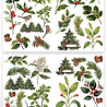Arden Creative Studio Christmas Cheer Laser Cuts Foliage (42pcs) by Katie Pertiet (ACSLC0010) Arden Creative Studio Christmas Cheer Laser Cuts Foliage (42pcs) by Katie Pertiet (ACSLC0010)