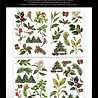Arden Creative Studio Christmas Cheer Laser Cuts Foliage (42pcs) by Katie Pertiet (ACSLC0010) Arden Creative Studio Christmas Cheer Laser Cuts Foliage (42pcs) by Katie Pertiet (ACSLC0010)