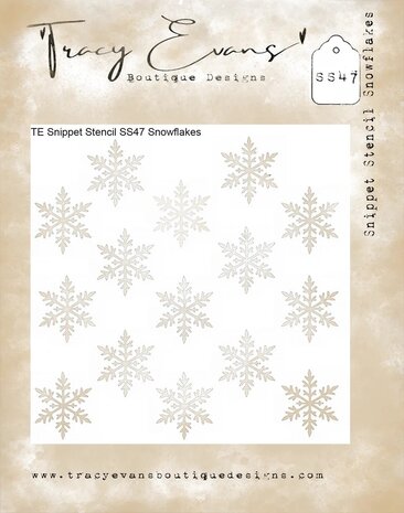 Tracy Evans Snowflakes 4x4 Inch Snippet Stencil (SS047)