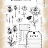 Tracy Evans Explore Nature A5 Stamp (TE067)