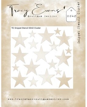 Tracy Evans Cluster 4x4 Inch Snippet Stencil (SS042)