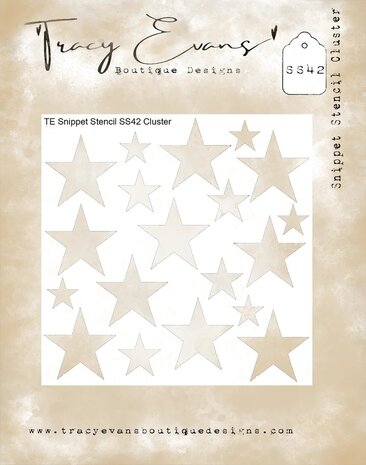 Tracy Evans Cluster 4x4 Inch Snippet Stencil (SS042)