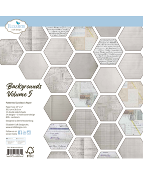 Elizabeth Craft Designs Beautifully Worn 12x12 Inch Patterned Cardstock Backgrounds Volume 5 by Devid Roodenburg (C044)