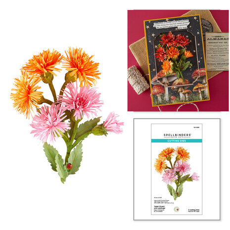 Spellbinders Serenity Garden Etched Dies Tassel Flower and Ladybugs by Susan Tierney-Cockburn (S4-1482) Spellbinders Serenity Garden Etched Dies Tassel Flower and Ladybugs by Susan Tierney-Cockburn (S4-1482)