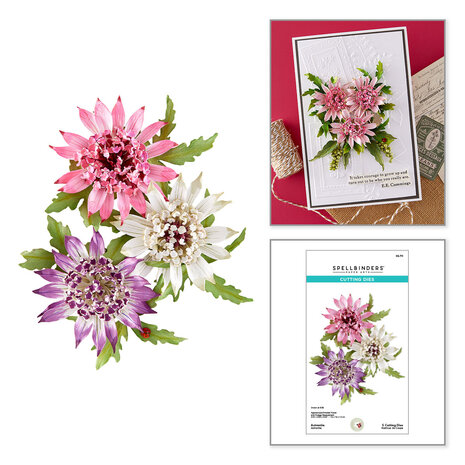 Spellbinders Serenity Garden Etched Dies Astrantiaby Susan Tierney-Cockburn (S5-711) Spellbinders Serenity Garden Etched Dies Astrantiaby Susan Tierney-Cockburn (S5-711)