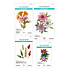 Serenity Garden Die Bundle by Susan Tierney-Cockburn (BD-1052) Serenity Garden Die Bundle by Susan Tierney-Cockburn (BD-1052)