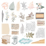 Spellbinders Clementine Diecut Clear Stickers by Rosie's Studio (169295)