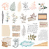 Clementine Diecut Clear Stickers by Rosie's Studio (169295) Clementine Diecut Clear Stickers by Rosie's Studio (169295)
