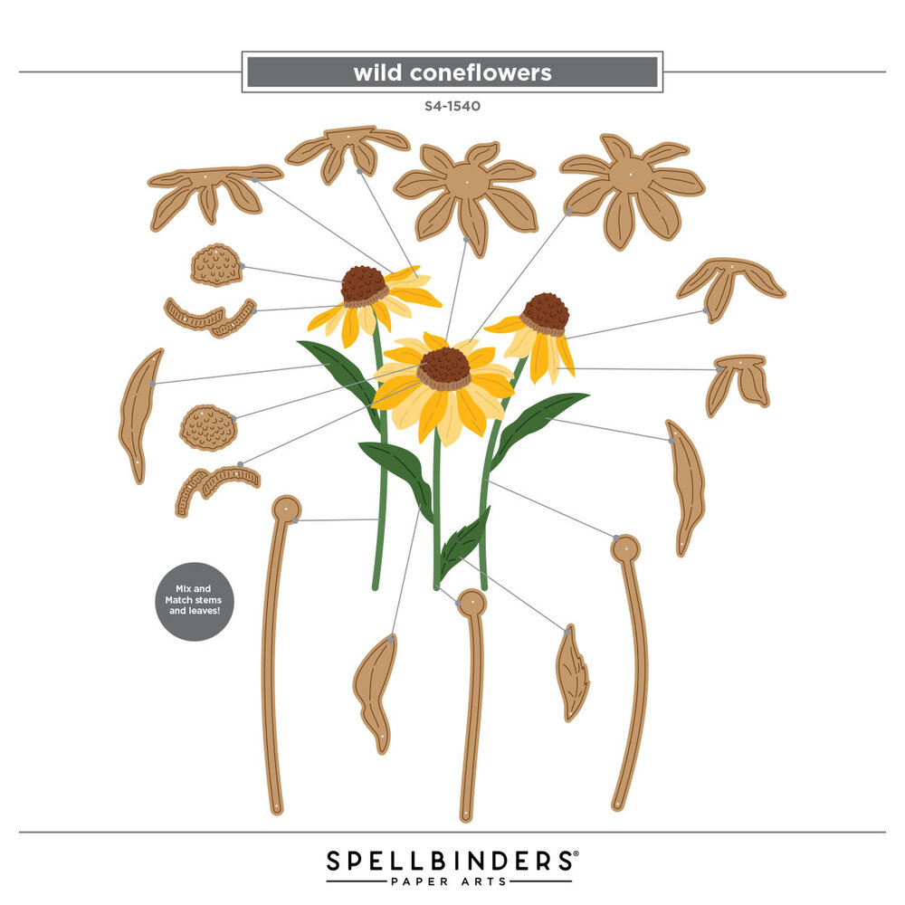 Spellbinders Cascading Coneflowers Etched Dies Wild Coneflowers by Simon Hurley (S4-1540) Spellbinders Cascading Coneflowers Etched Dies Wild Coneflowers by Simon Hurley (S4-1540)