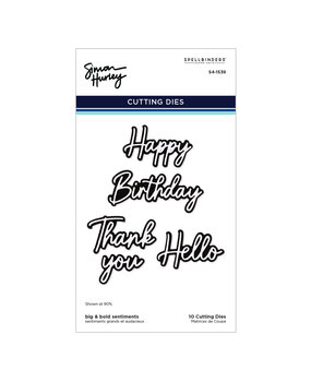Spellbinders Cascading Coneflowers Etched Dies Big & Bold Sentiments by Simon Hurley (S4-1539)