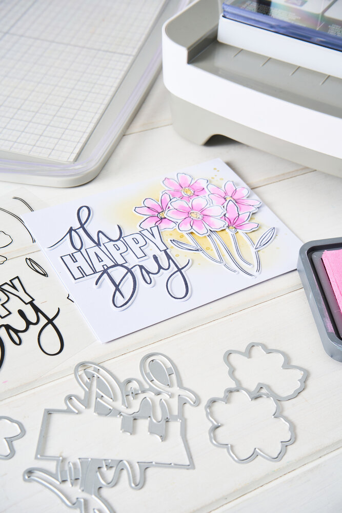 Sizzix Clear Stamps Set w/Framelits Die Di Oh Happy Day (10+10pcs) by Vicki Boutin (667134) Sizzix Clear Stamps Set w/Framelits Die Di Oh Happy Day (10+10pcs) by Vicki Boutin (667134)