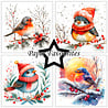 Paper Favourites Christmas Birds 6x6 Inch Paper Pack (PF588)