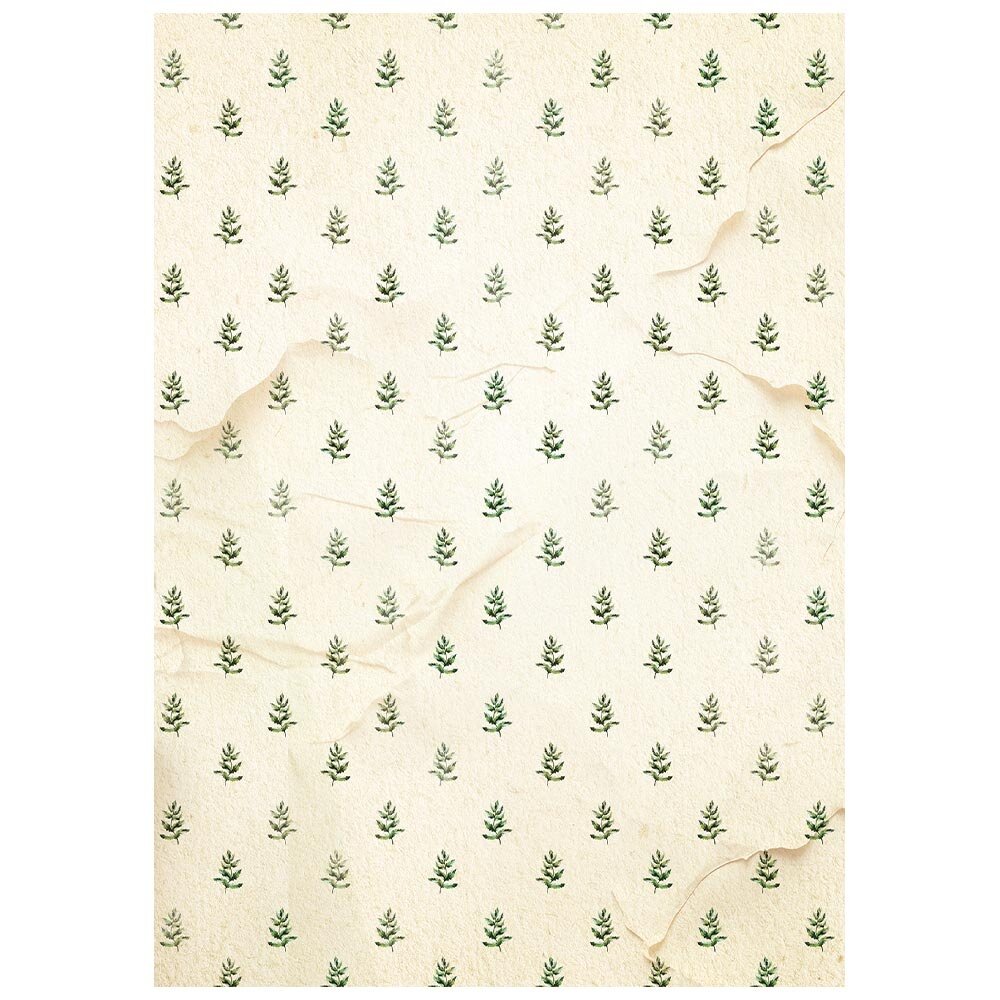 Stamperia Silent Night A6 Rice Paper Backgrounds Selection (8pcs) (DFSAK6058) Stamperia Silent Night A6 Rice Paper Backgrounds Selection (8pcs) (DFSAK6058)