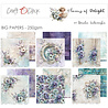 Craft O'Clock Flowers of Delight 12x12 Inch Paper Set by Renata Ludwinska (CC-C85-FOD-00) Craft O'Clock Flowers of Delight 12x12 Inch Paper Set by Renata Ludwinska (CC-C85-FOD-00)