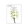 Little Birdie Handmade Flowers Catalina Ivory Pearl (6 packs x 12pcs) (CR103089) Little Birdie Handmade Flowers Catalina Ivory Pearl (6 packs x 12pcs) (CR103089)