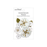 Little Birdie Handmade Flowers Liora Frosty White (6 packs x 10pcs) (CR109963) Little Birdie Handmade Flowers Liora Frosty White (6 packs x 10pcs) (CR109963)