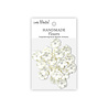 Little Birdie Handmade Flowers Twinkle Ivory Pearl (6 packs x 20pcs) (CR103147)