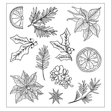 Sizzix Clear Stamps Set Poinsettia and Pine (11pcs) by Sizzix (667122)