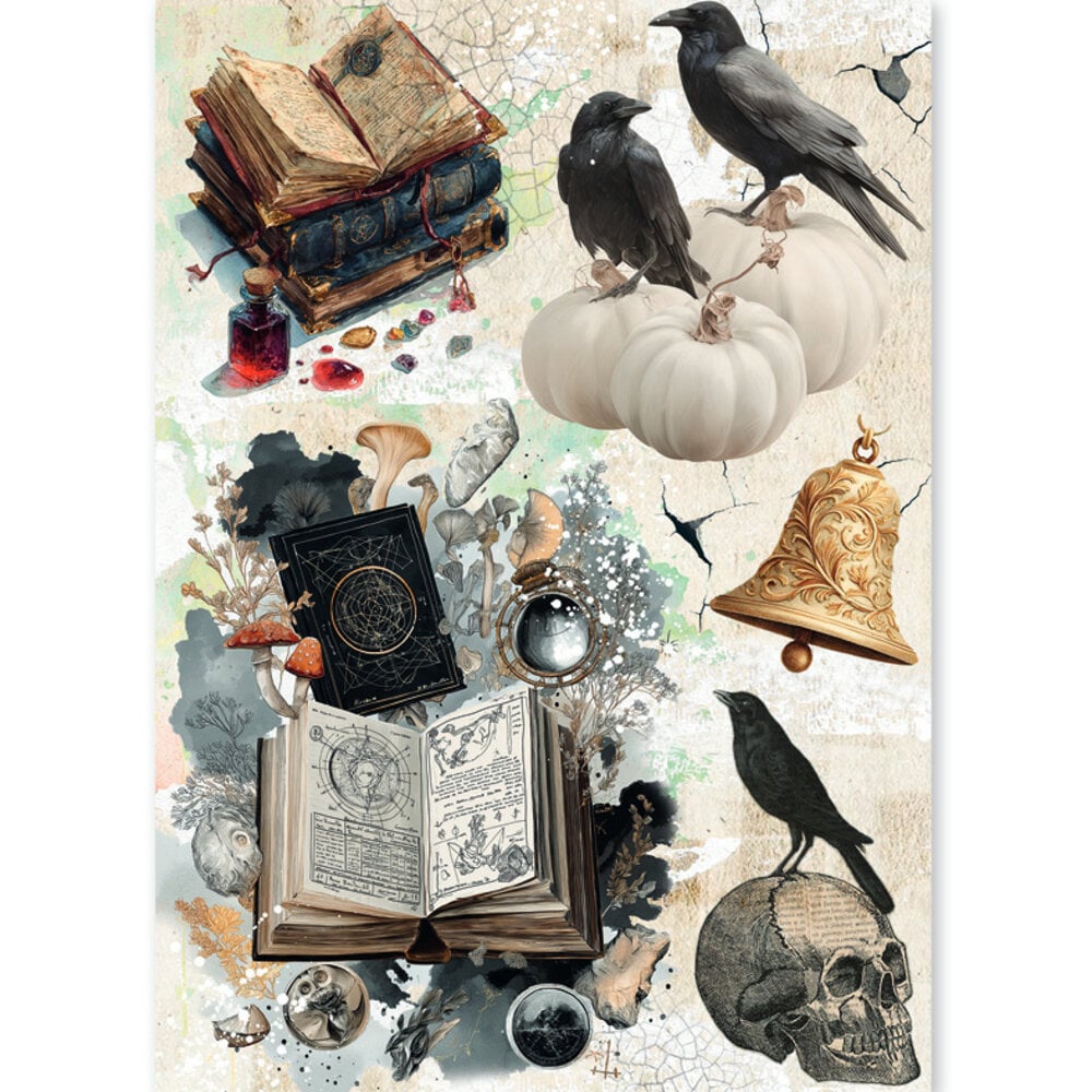 Ciao Bella The Witch's Grimoire A5 Rice Paper Mixed (8pcs) (CBRS048) Ciao Bella The Witch's Grimoire A5 Rice Paper Mixed (8pcs) (CBRS048)
