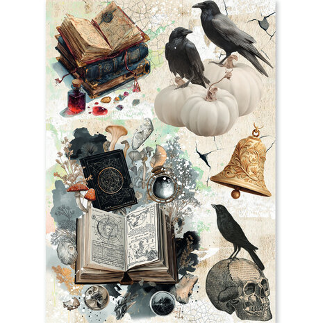 Ciao Bella The Witch's Grimoire A5 Rice Paper Mixed (8pcs) (CBRS048) Ciao Bella The Witch's Grimoire A5 Rice Paper Mixed (8pcs) (CBRS048)
