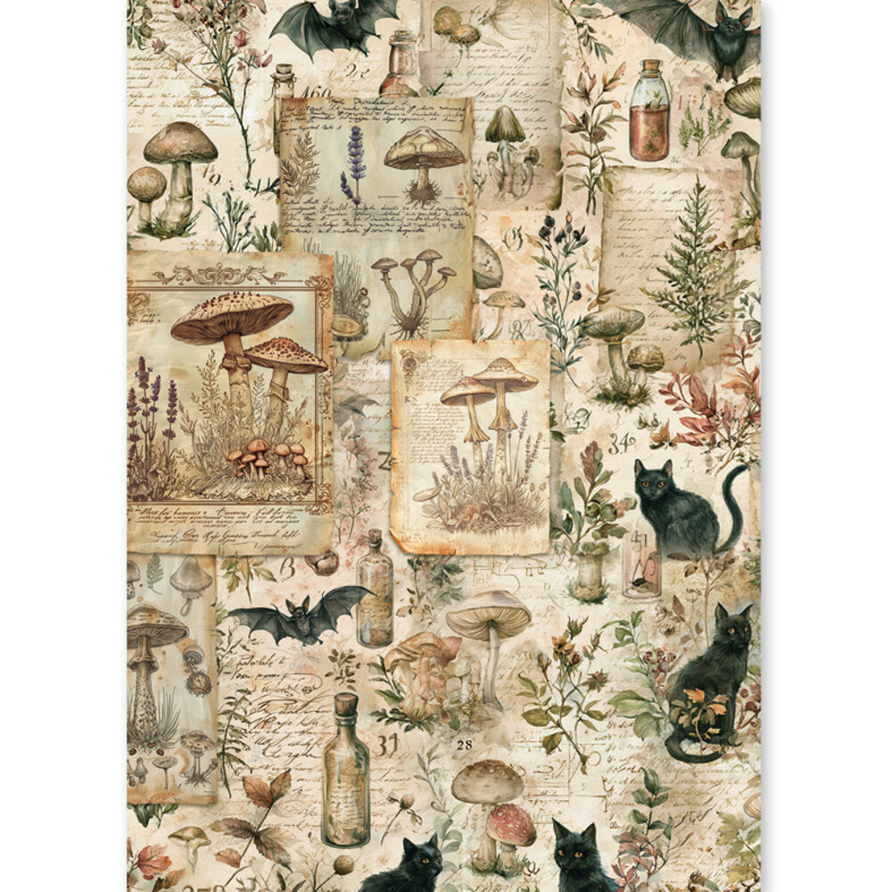 Ciao Bella The Witch's Grimoire A5 Rice Paper Mixed (8pcs) (CBRS048) Ciao Bella The Witch's Grimoire A5 Rice Paper Mixed (8pcs) (CBRS048)