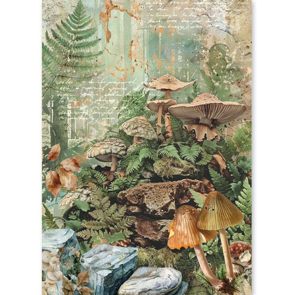 Ciao Bella The Nature Journal A5 Rice Paper Mixed (8pcs) (CBRS049) Ciao Bella The Nature Journal A5 Rice Paper Mixed (8pcs) (CBRS049)