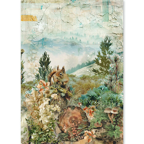 Ciao Bella The Nature Journal A5 Rice Paper Mixed (8pcs) (CBRS049) Ciao Bella The Nature Journal A5 Rice Paper Mixed (8pcs) (CBRS049)