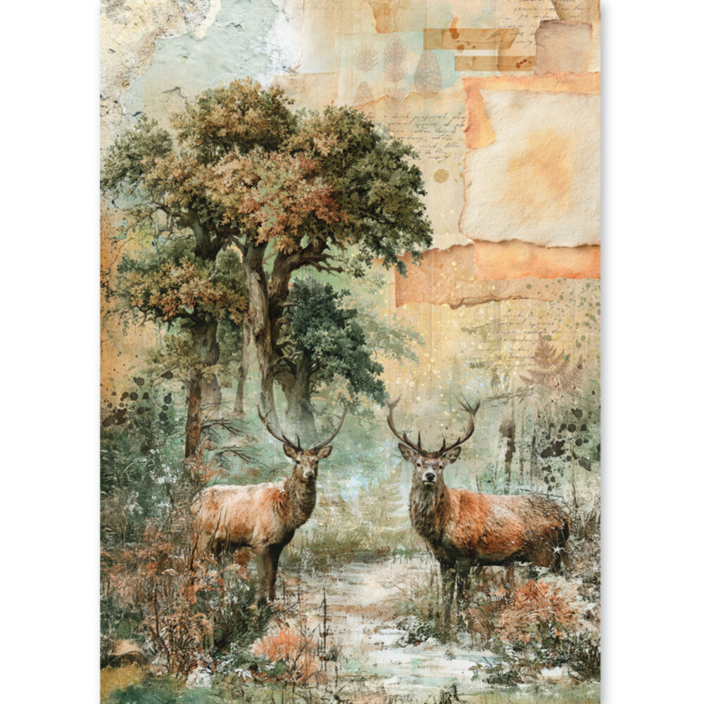 Ciao Bella The Nature Journal A5 Rice Paper Mixed (8pcs) (CBRS049) Ciao Bella The Nature Journal A5 Rice Paper Mixed (8pcs) (CBRS049)