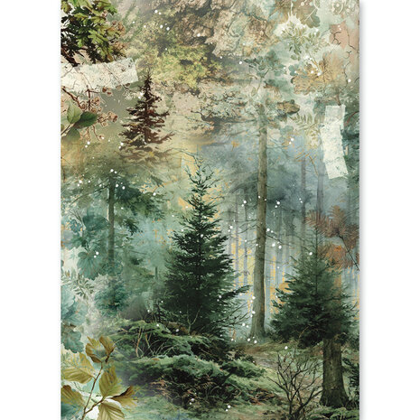 Ciao Bella The Nature Journal A5 Rice Paper Mixed (8pcs) (CBRS049) Ciao Bella The Nature Journal A5 Rice Paper Mixed (8pcs) (CBRS049)
