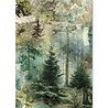 Ciao Bella The Nature Journal A5 Rice Paper Mixed (8pcs) (CBRS049) Ciao Bella The Nature Journal A5 Rice Paper Mixed (8pcs) (CBRS049)