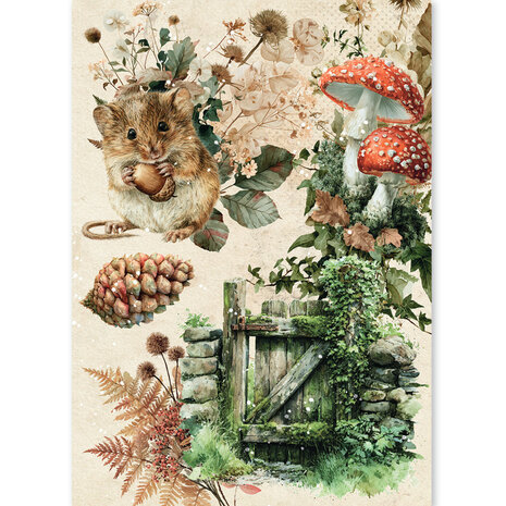 Ciao Bella The Nature Journal A5 Rice Paper Mixed (8pcs) (CBRS049) Ciao Bella The Nature Journal A5 Rice Paper Mixed (8pcs) (CBRS049)