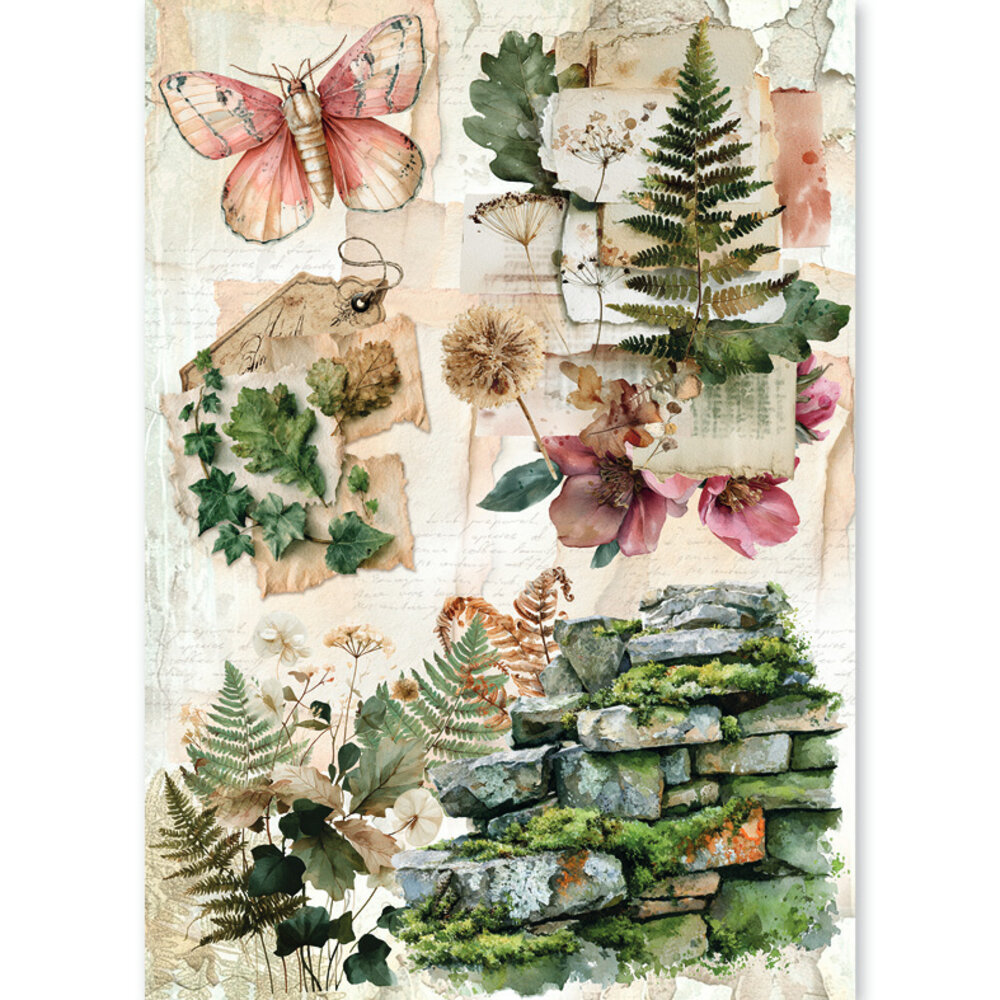 Ciao Bella The Nature Journal A5 Rice Paper Mixed (8pcs) (CBRS049) Ciao Bella The Nature Journal A5 Rice Paper Mixed (8pcs) (CBRS049)