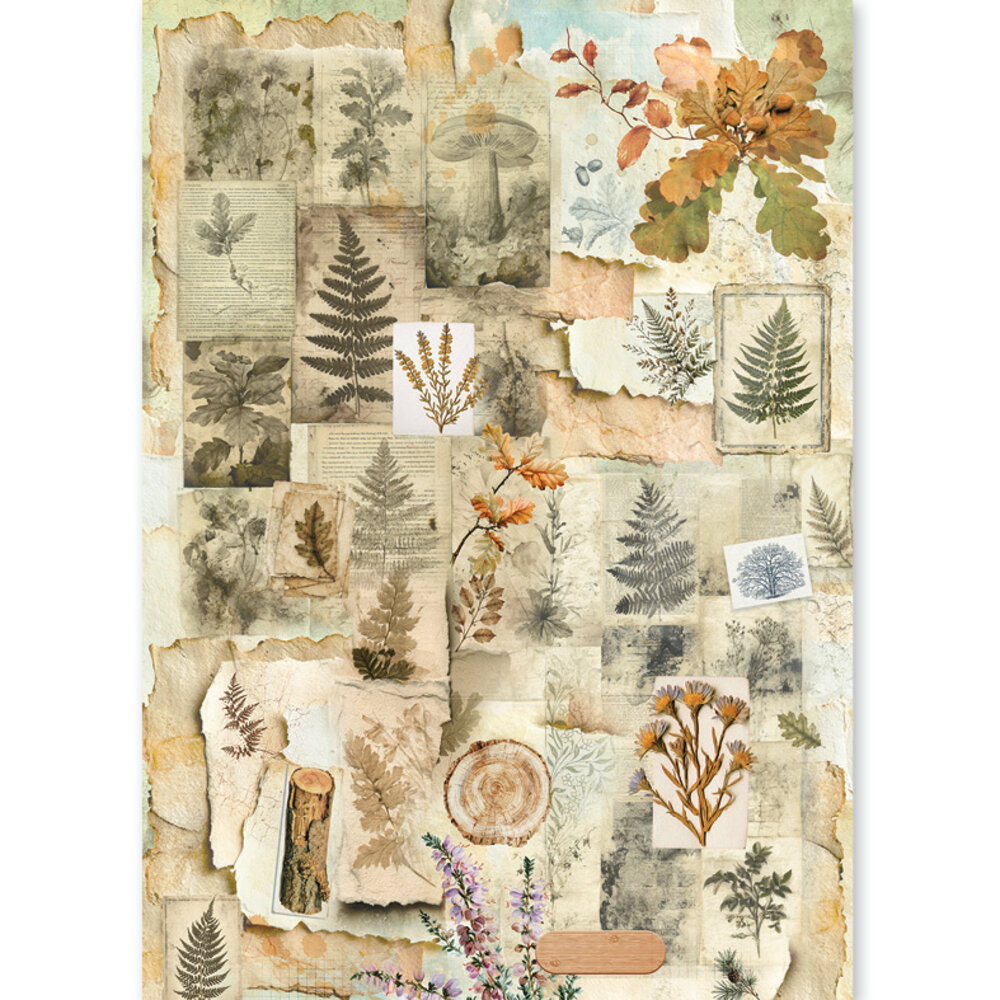 Ciao Bella The Nature Journal A5 Rice Paper Mixed (8pcs) (CBRS049) Ciao Bella The Nature Journal A5 Rice Paper Mixed (8pcs) (CBRS049)