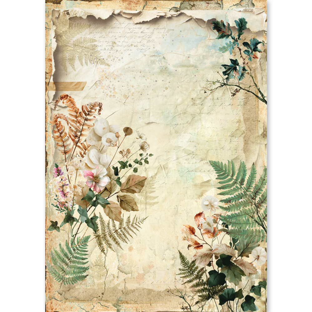 Ciao Bella The Nature Journal A5 Rice Paper Mixed (8pcs) (CBRS049) Ciao Bella The Nature Journal A5 Rice Paper Mixed (8pcs) (CBRS049)