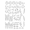 Spellbinders Storybook Illustrations Clear Stamp Set Illustrated Man by Josh Griffiths (STP-284)