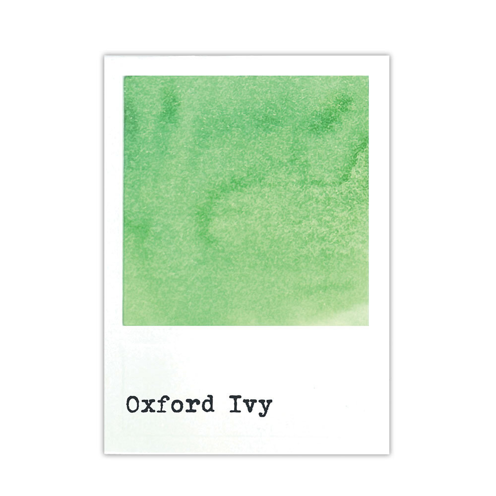 Ranger 49 & Market Dye Ink Re-inkers Oxford Ivy 0.5 fl oz (FMI95385) Ranger 49 & Market Dye Ink Re-inkers Oxford Ivy 0.5 fl oz (FMI95385)