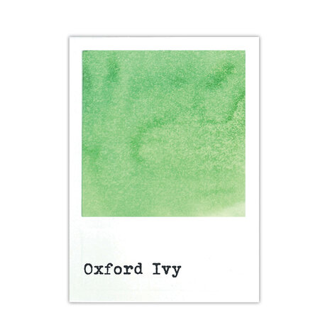 Ranger 49 & Market Dye Ink Re-inkers Oxford Ivy 0.5 fl oz (FMI95385) Ranger 49 & Market Dye Ink Re-inkers Oxford Ivy 0.5 fl oz (FMI95385)