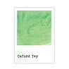 Ranger 49 & Market Dye Ink Re-inkers Oxford Ivy 0.5 fl oz (FMI95385) Ranger 49 & Market Dye Ink Re-inkers Oxford Ivy 0.5 fl oz (FMI95385)