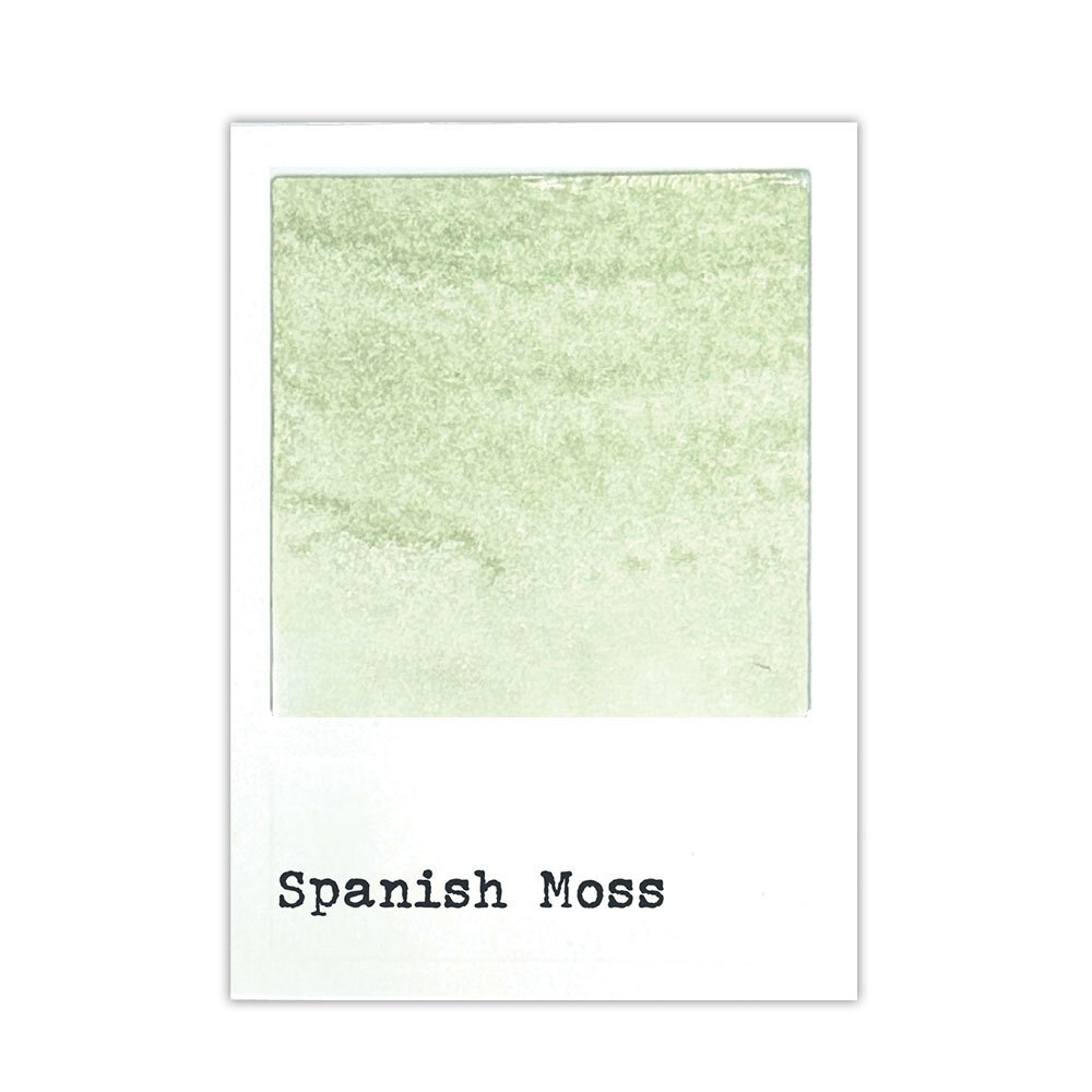 Ranger 49 & Market Dye Ink Re-inkers Spanish Moss 0.5 fl oz (FMI95408) Ranger 49 & Market Dye Ink Re-inkers Spanish Moss 0.5 fl oz (FMI95408)